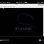 Kali Linux ekran kayıt